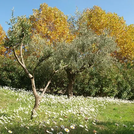 Bed & Breakfast La Roque